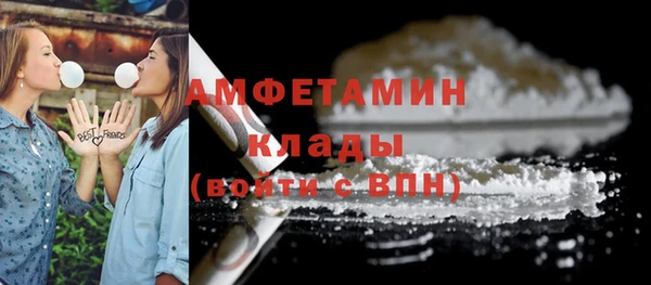 индика Вязники