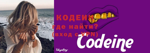 индика Вязники