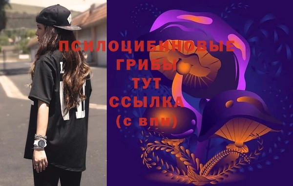 эйфоретик Киреевск