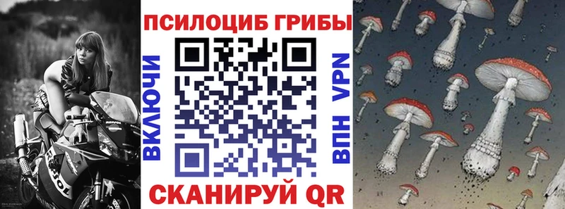 Галлюциногенные грибы мухоморы  где можно купить наркотик  Жуковка 